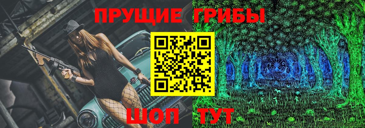 Псилоцибиновые грибы GOLDEN TEACHER  сколько стоит  Нефтекамск  Псилоцибиновые грибы Cubensis  Вход с VPN 